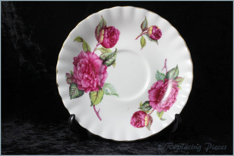 Royal Albert - Unknown 1 - Tea Saucer