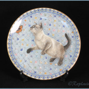 Aynsley - Meet My Kittens - August