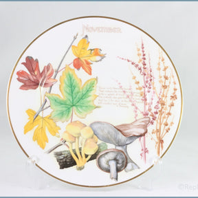 Caverswall - Country Diary Of An Edwardian Lady - November