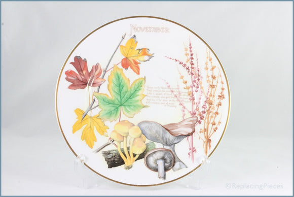Caverswall - Country Diary Of An Edwardian Lady - November