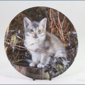 Crestley Collection - Kitten Kapers - Aristocat