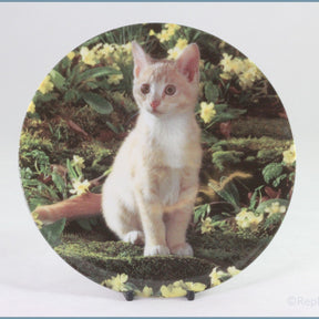 Crestley Collection - Kitten Kapers - Creme de la Creme