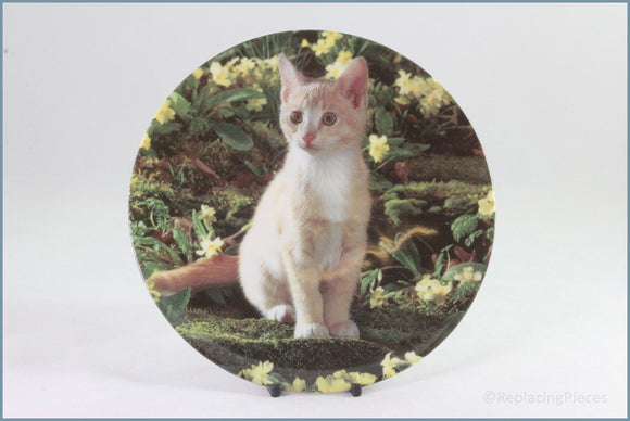 Crestley Collection - Kitten Kapers - Creme de la Creme