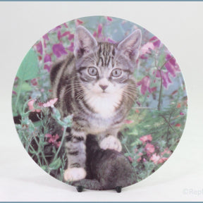 Crestley Collection - Kitten Kapers - King Of The Castle