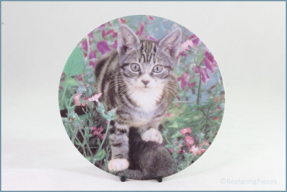 Crestley Collection - Kitten Kapers - King Of The Castle
