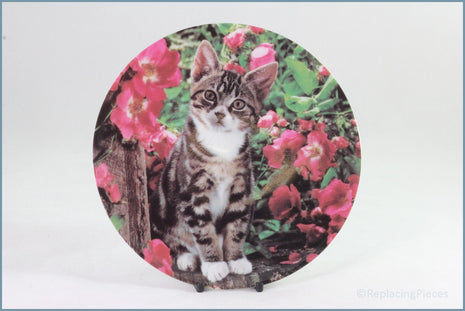 Crestley Collection - Kitten Kapers - Lady In Waiting