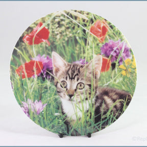 Crestley Collection - Kitten Kapers - Lord Of The Jungle