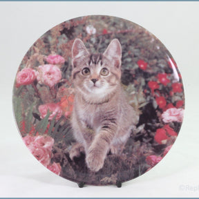 Crestley Collection - Kitten Kapers - Monarch Of The Glen
