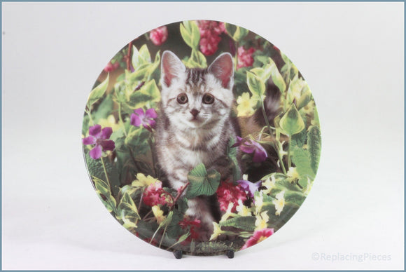 Crestley Collection - Kitten Kapers - Princess Royal