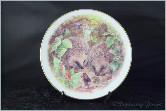 Nicholas John - Wildlife Plates - Hedgehogs