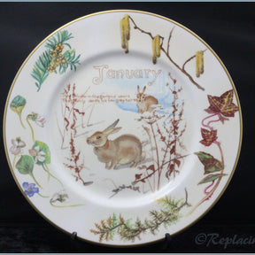 Caverswall - Nature Notes Of An Edwardian Lady - January