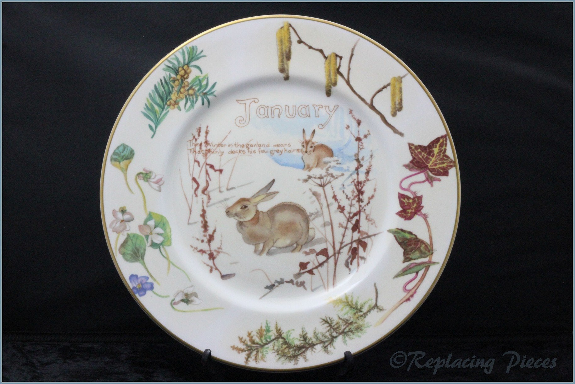 Caverswall - Nature Notes Of An Edwardian Lady - January