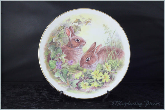 Nicholas John - Wildlife Plates - Rabbits