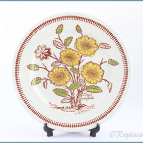 Broadhurst - Wild Flowers - Dinner Plate