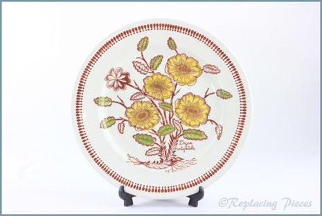 Broadhurst - Wild Flowers - Dinner Plate