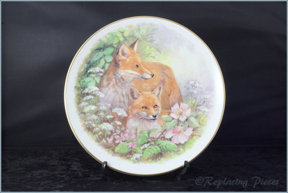 Nicholas John - Wildlife Plates - Foxes