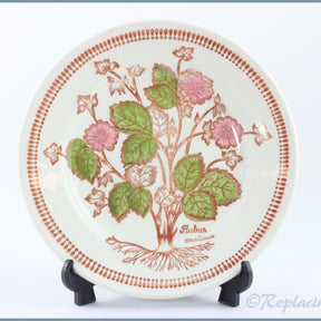 Broadhurst - Wild Flowers - 6 3/4