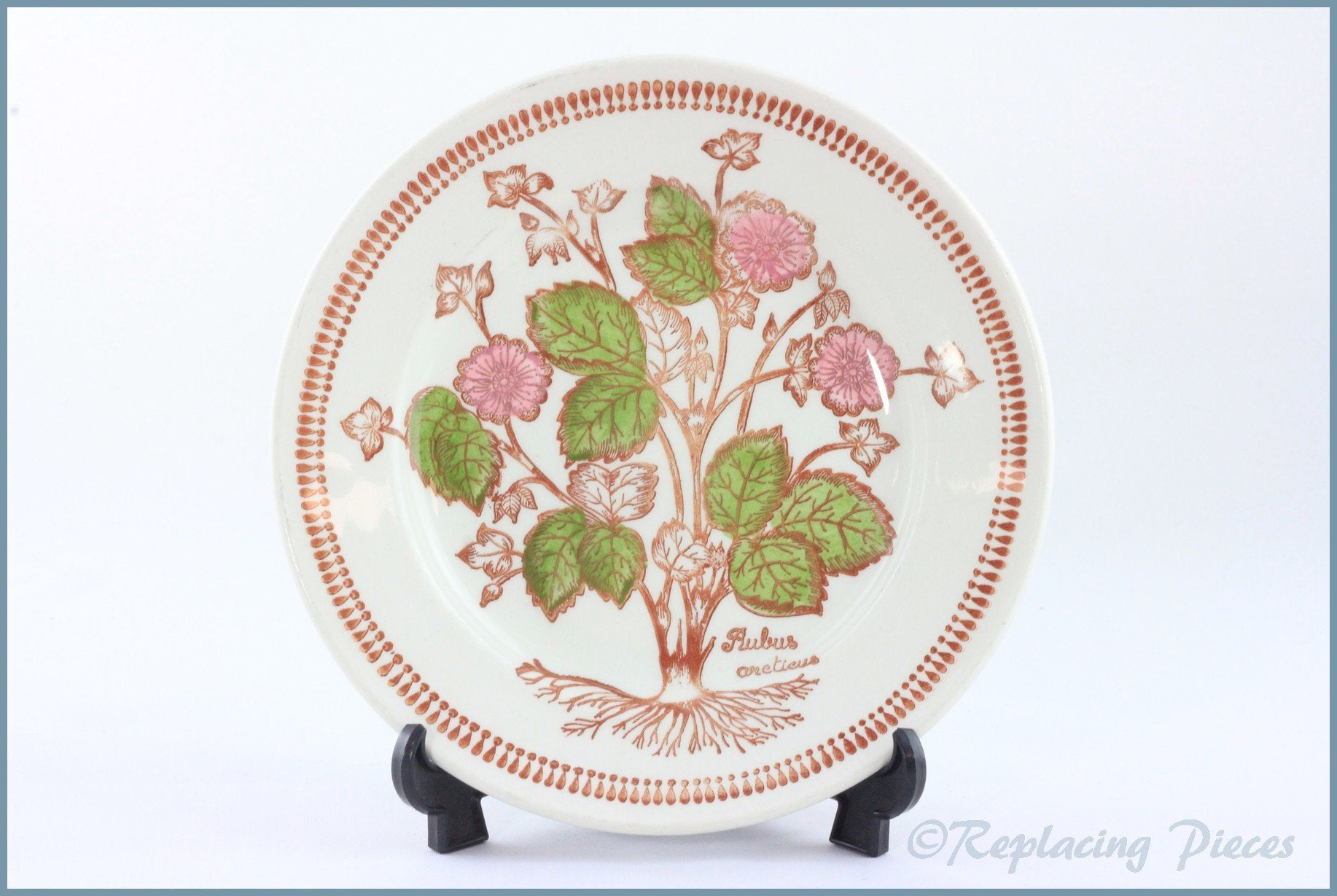 Broadhurst - Wild Flowers - 6 3/4