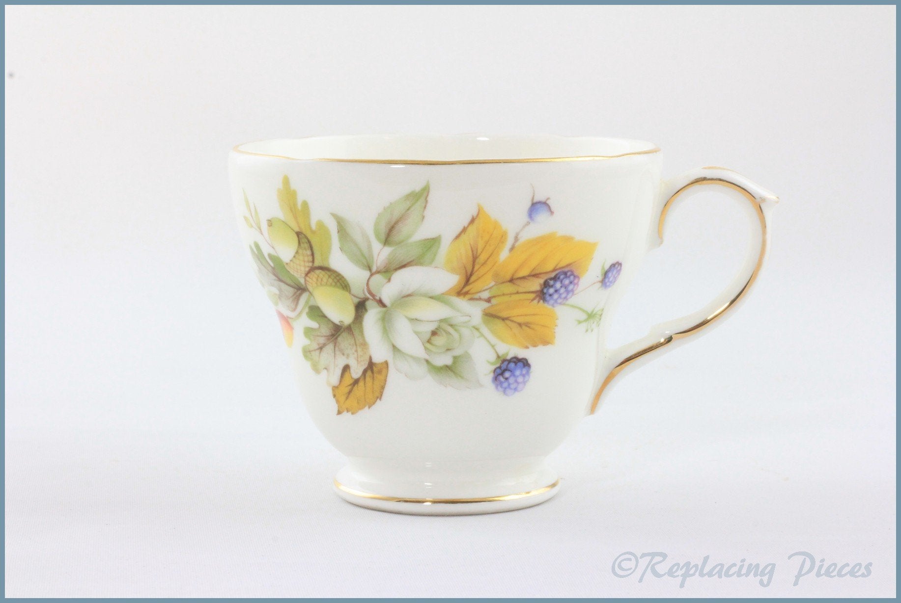 Duchess - Autumn - Teacup